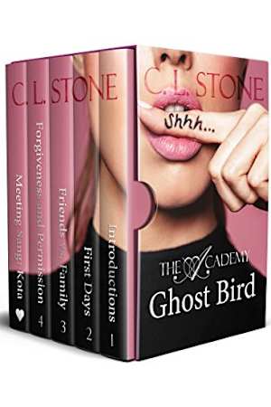 C L Stone Books Bookbub - 