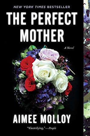 Book cover for The Perfect Mother by Aimee Molloy