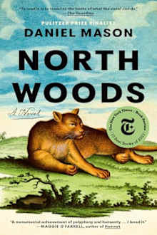 Book cover for North Woods by Daniel Mason
