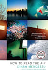 Book cover for How to Read the Air by Dinaw Mengestu