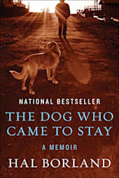 The Dog Who Came to Stay