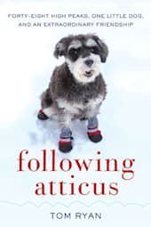 Following Atticus