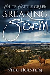 Breaking Storm