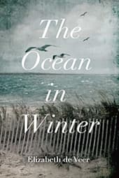 The Ocean in Winter