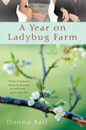 A Year on Ladybug Farm