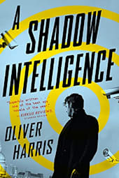 A Shadow Intelligence