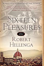 The Sixteen Pleasures