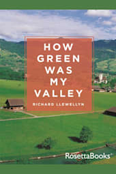 How Green Was My Valley