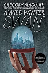 A Wild Winter Swan
