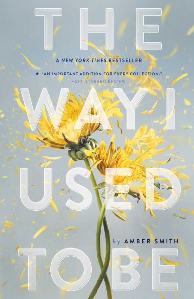 the way i used to be book the way i used to be book