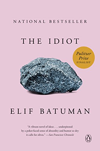 the idiot book elif batuman