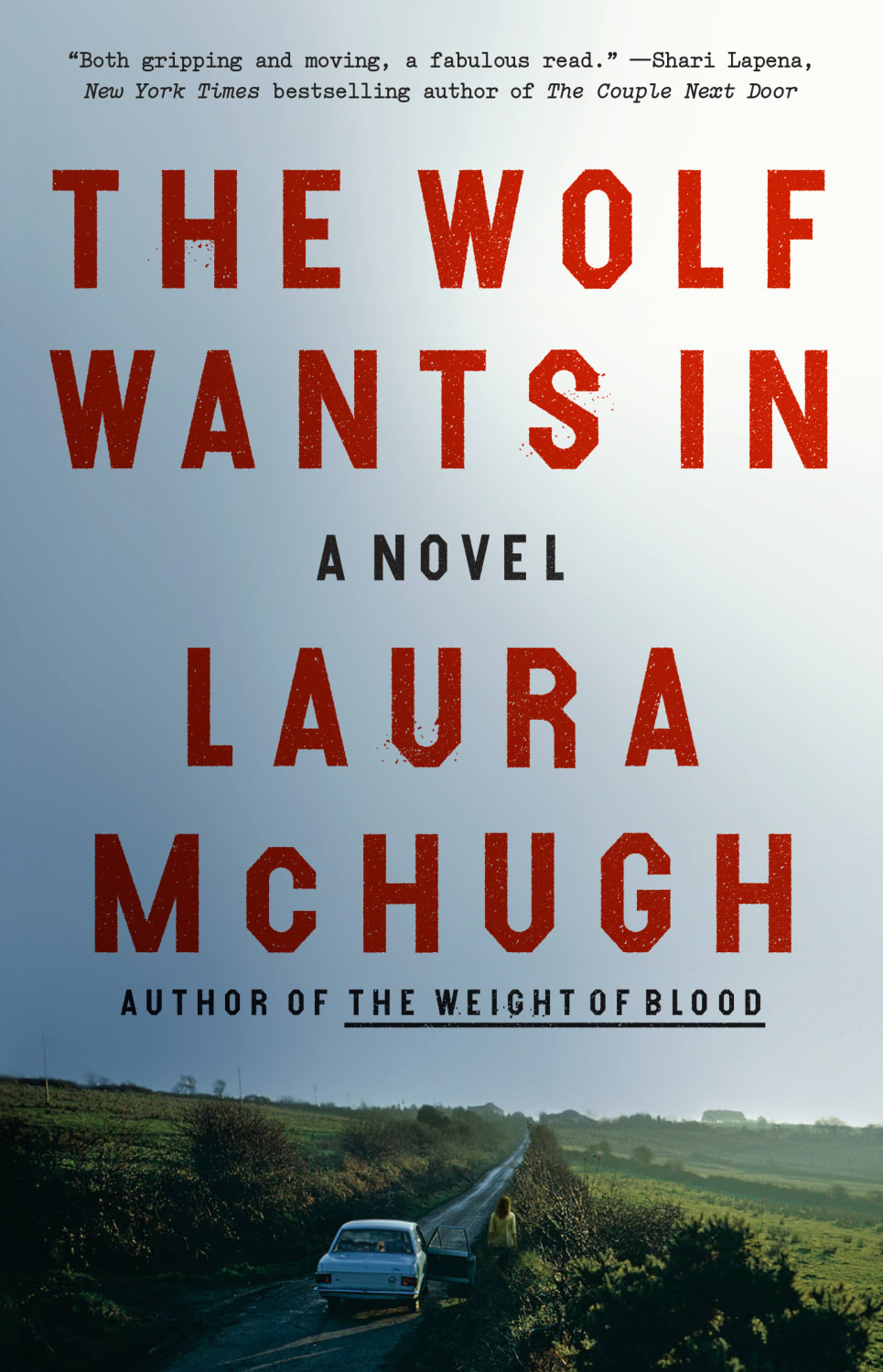 The Wolf Wants In by Laura McHugh BookBub