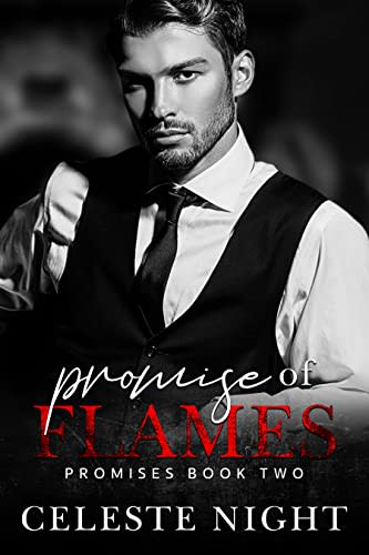 Promise of Flames: A Romantic Suspense Reverse Harem (Promises Book 2 ...