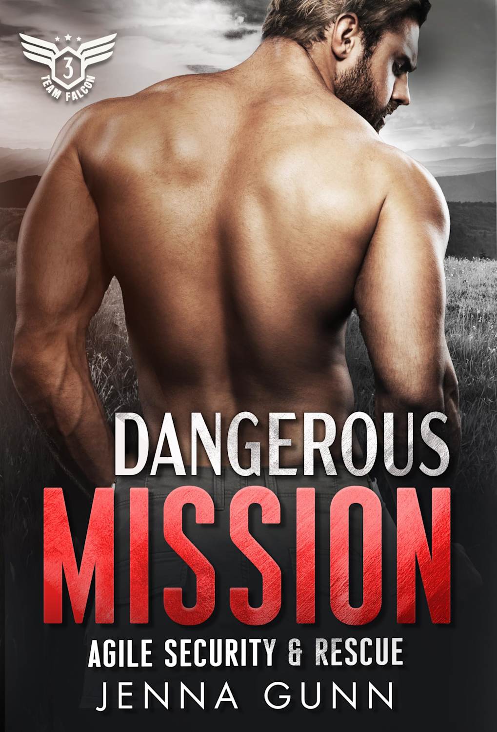 Dangerous Mission (Team Falcon Agile Security & Rescue Team 2 Book 3