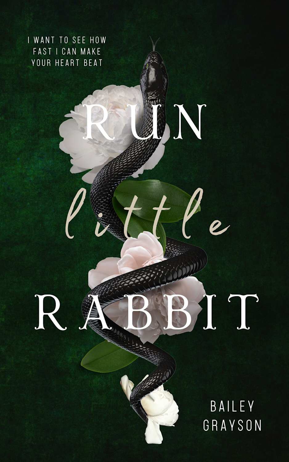 Run Little Rabbit Run, Little Rabbit (Blood & Bonds Book 1) by Bailey Grayson - BookBub
