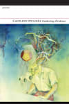 Book cover for Gathering Evidence by Caoilinn Hughes