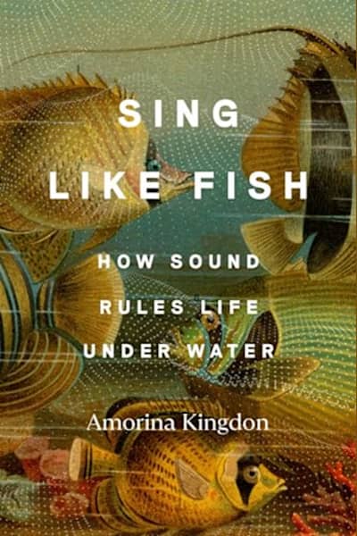 Book cover for Sing Like Fish by Amorina Kingdon