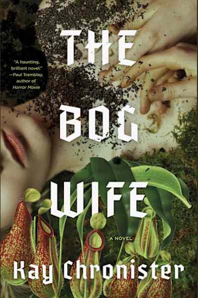 Book cover for The Bog Wife by Kay Chronister