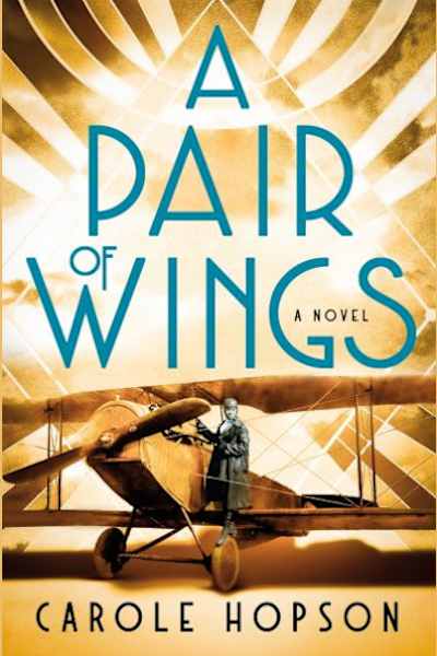 Book cover for A Pair of Wings by Carole Hopson