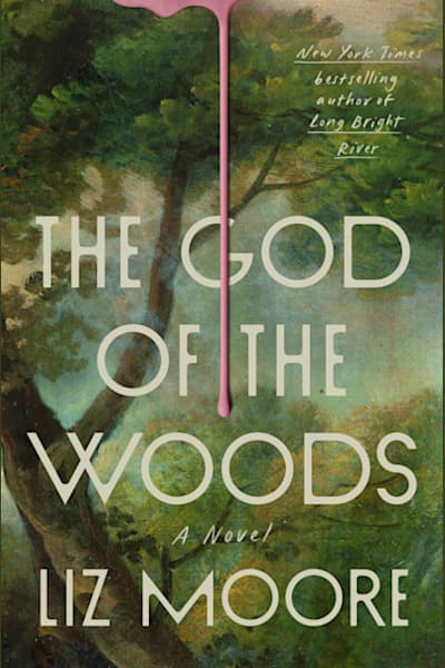 Book cover for The God of the Woods by Liz Moore