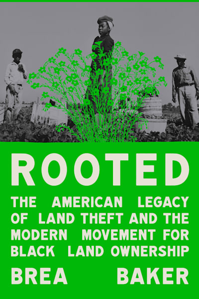 Book cover for Rooted by Brea Baker