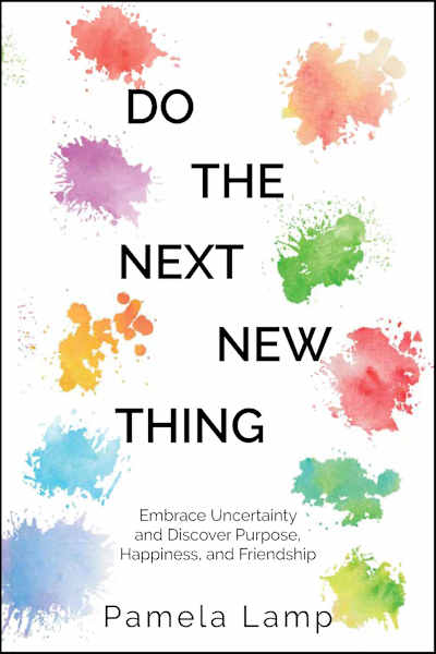 Book cover for Do the Next New Thing by Pamela Lamp