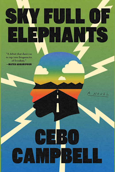 Book cover for Sky Full of Elephants by Cebo Campbell