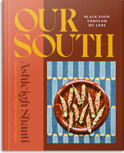Book cover for Our South by Ashleigh Shanti