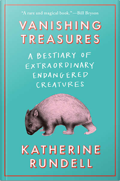 Book cover for Vanishing Treasures by Katherine Rundell