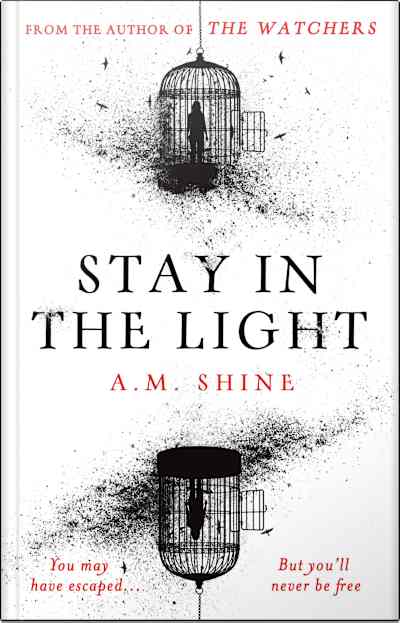Book cover for Stay in the Light by A. M. Shine
