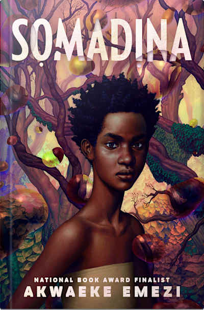 Book cover for Somadina by Akwaeke Emezi