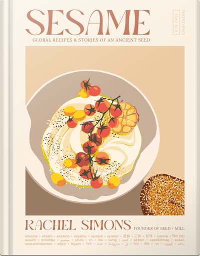 Book cover for Sesame by Rachel Simons