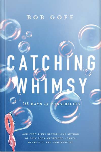 Book cover for Catching Whimsy by Bob Goff