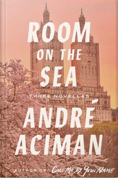 Book cover for Room on the Sea by André Aciman