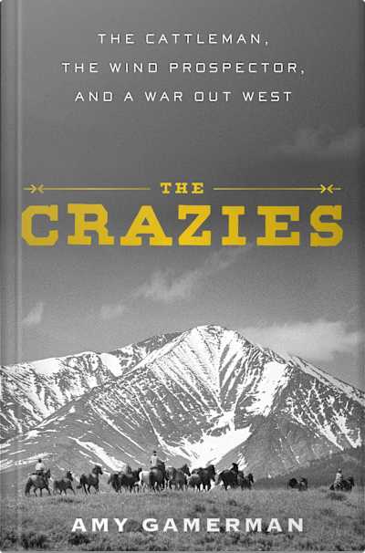 Book cover for The Crazies by Amy Gamerman