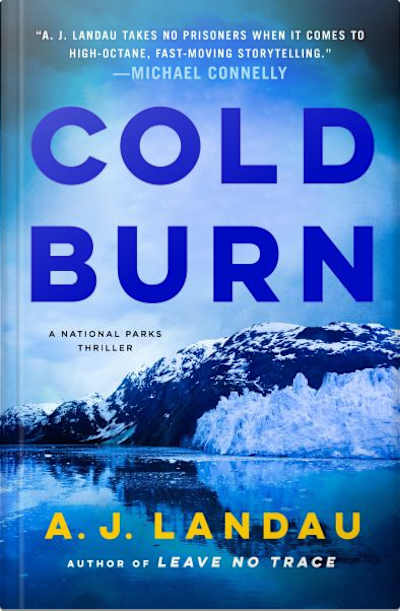Book cover for Cold Burn by A. J. Landau