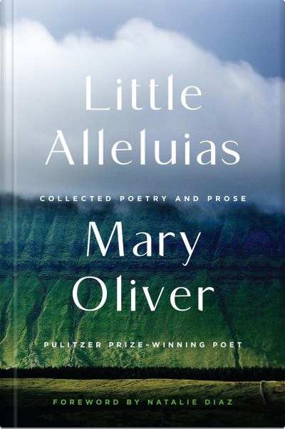 Book cover for Little Alleluias by Mary Oliver