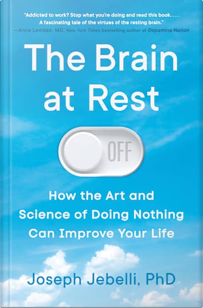 Book cover for The Brain at Rest by Joseph Jebelli