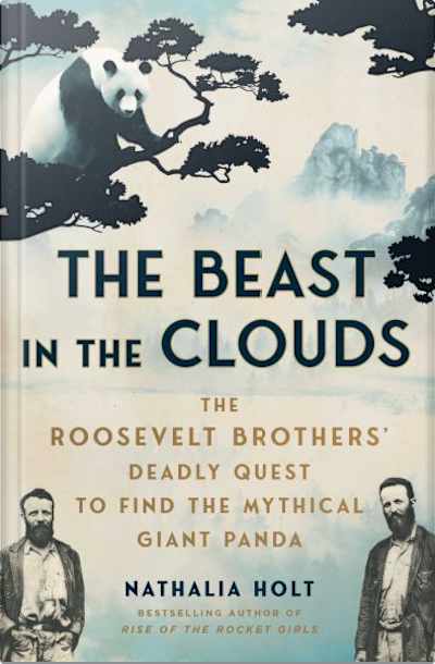 Book cover for The Beast in the Clouds by Nathalia Holt