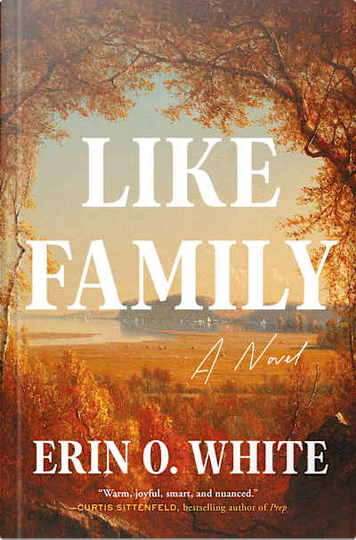 Book cover for Like Family by Erin O. White
