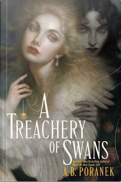 Book cover for A Treachery of Swans by A. B. Poranek