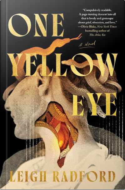 Book cover for One Yellow Eye by Leigh Radford