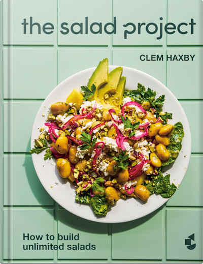Book cover for The Salad Project by Clem Haxby