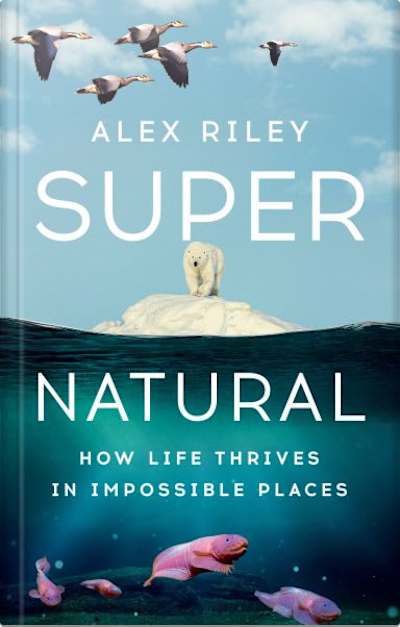 Book cover for Super Natural by Alex Riley