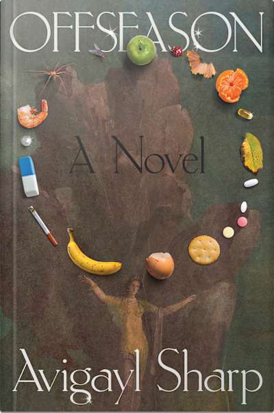 Book cover for Offseason by Avigayl Sharp