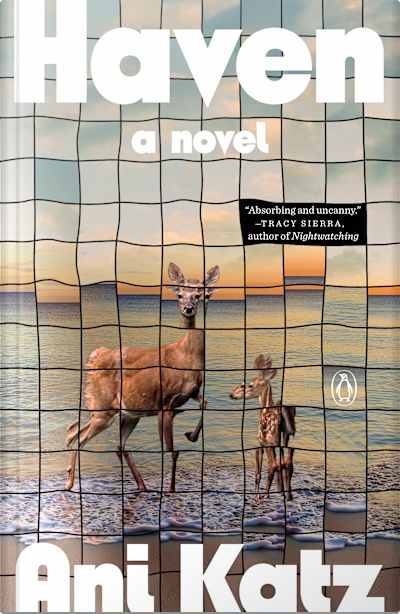 Book cover for Haven by Ani Katz