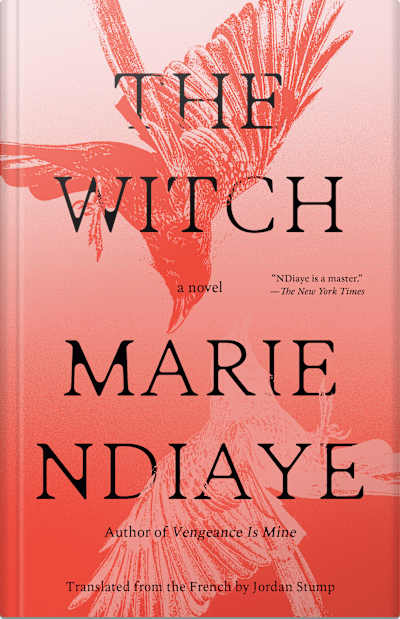 Book cover for The Witch by Marie NDiaye