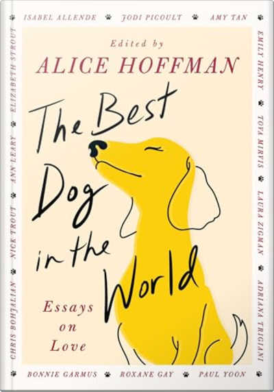 Book cover for The Best Dog in the World by Collected Authors