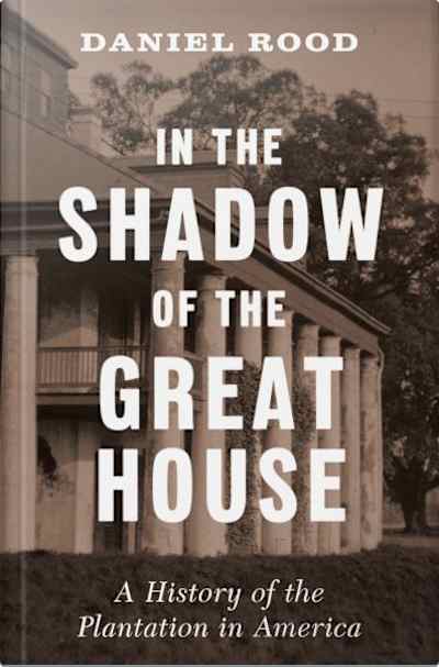 Book cover for In the Shadow of the Great House by Daniel Rood