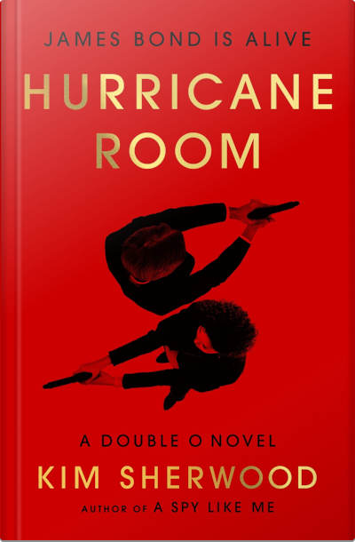 Book cover for Hurricane Room by Kim Sherwood
